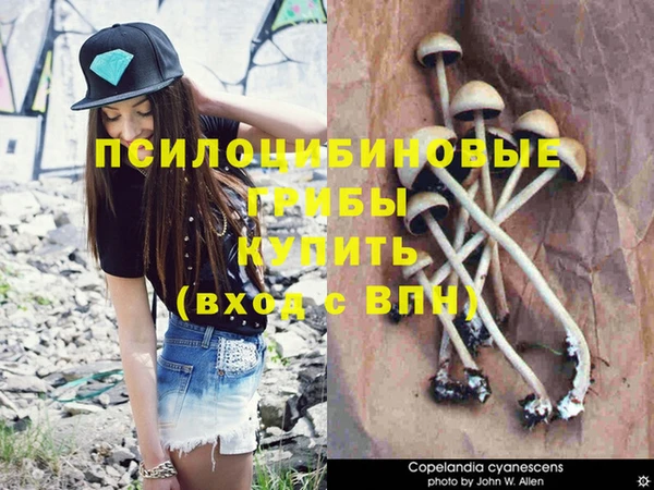 синтетический гашиш Медвежьегорск