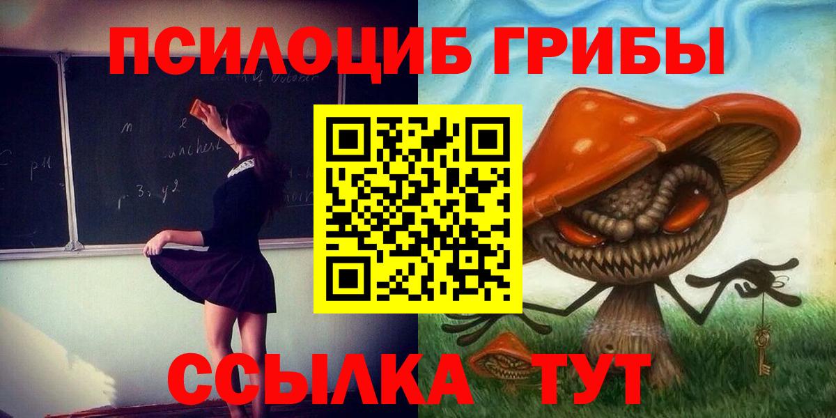 Надым  Псилоцибиновые грибы Psilocybe  Вход с VPN 