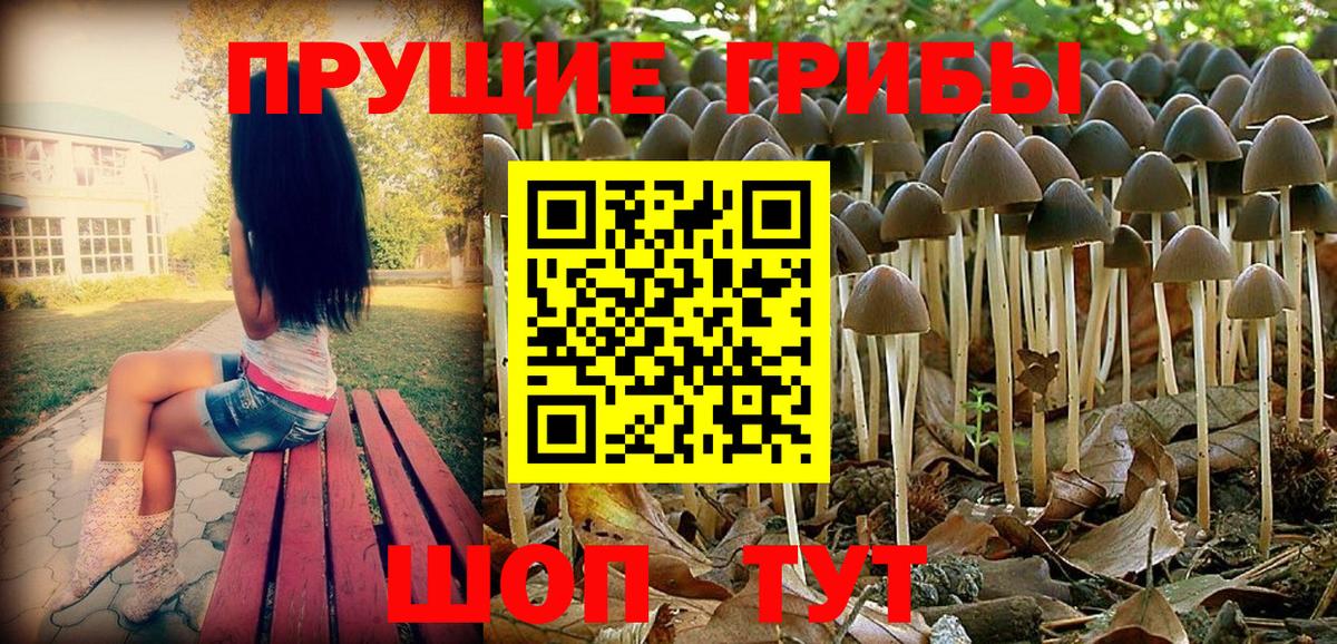 Галлюциногенные грибы MAGIC MUSHROOMS Надым