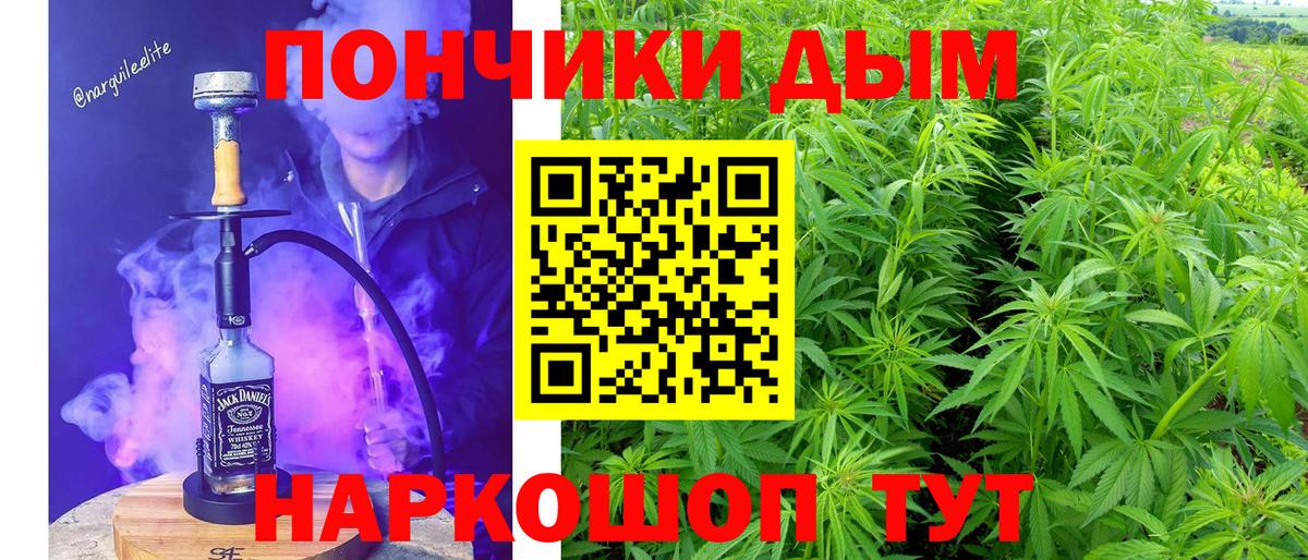 Бошки Шишки OG Kush  Канабис THC 21%  Бошки Шишки планчик  Надым 